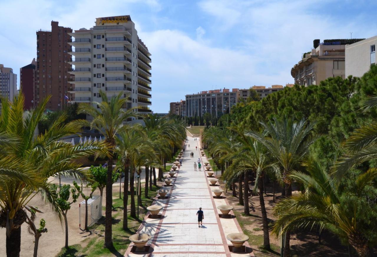 Sol Y Luz Apartamento Levante Centro بينايدورم المظهر الخارجي الصورة